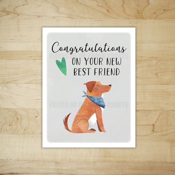 dog-baby-congratulations-funny-new-dog-card-paper-party-supplies