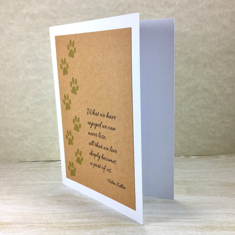 Pet Sympathy card, loss of dog, cat sympathy, rainbow bridge, condolence, bereavement, all that we love deeply, 4 pack image 3