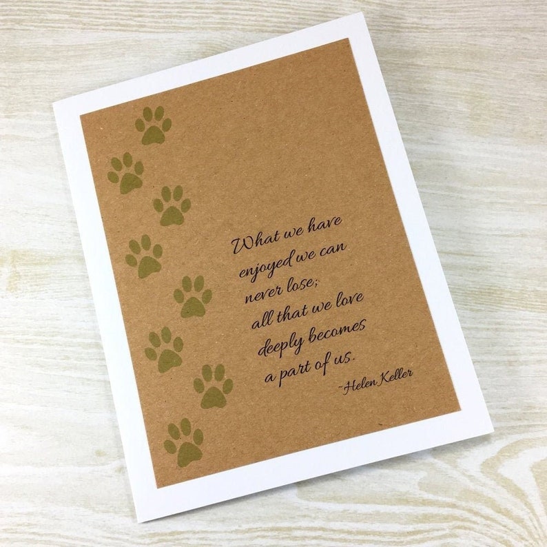 Pet Sympathy card, loss of dog, cat sympathy, rainbow bridge, condolence, bereavement, all that we love deeply, 4 pack image 1