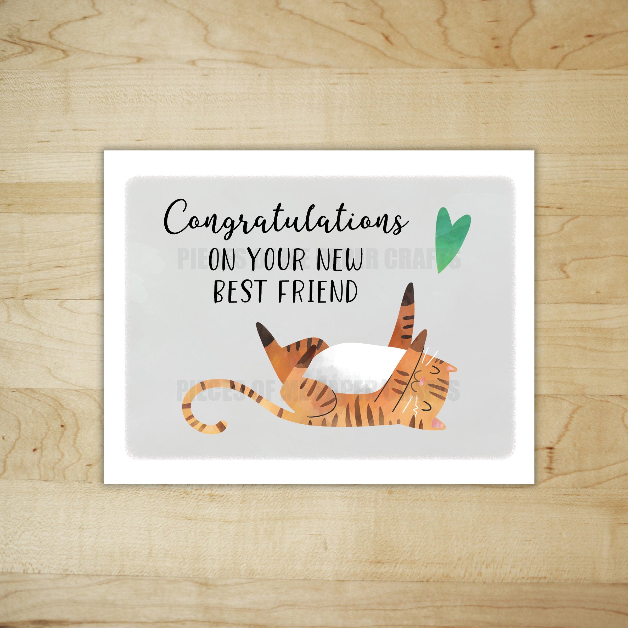 New Cat Card Congratulations on Your New Best Friend New Etsy