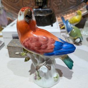 Meissen Parrot Figurine - Etsy