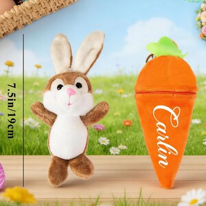 May include: A plush brown and white bunny and an orange carrot-shaped pouch with the name "Carlin" in white script. The bunny is 7.5 inches tall. The carrot pouch is 6.1 inches tall. The background is a spring scene.