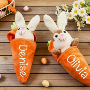 May include: Two plush Easter bunny toys in orange carrot-shaped holders. One bunny is white and the other is brown. The carrots have names printed on them. Easter eggs and flowers are in the background.