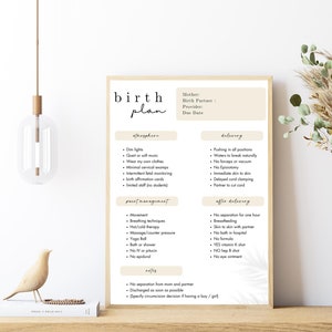 May include: A printable birth plan checklist with sections for atmosphere, pain management, delivery, and after delivery. The checklist includes items such as dim lights, quiet music, minimal cervical exams, breathing techniques, pushing in all positions, delayed cord clamping, and skin-to-skin with partner.