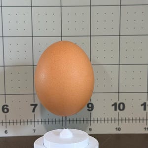 Könnte beinhalten: Ein braunes Ei mit gesprenkelter Oberfläche wird auf einem weißen, mehrstufigen Ständer präsentiert. Der Ständer hat zwei kreisförmige Ebenen. Der Hintergrund zeigt ein Raster mit Messungen.