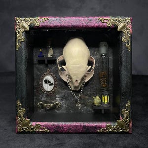 Kabinett der Kuriositäten, Bobcat Schädel 3D Druck, Kuriositäten und Antiquitäten, Miniaturen und Kuriositäten, Gothic Dekor, Vogelskelett