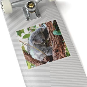 Sleeping Australian Koala Kiss-Cut Stickers - Laptop Decal, Water Bottle Sticker, Journal Sticker, Australian Wildlife