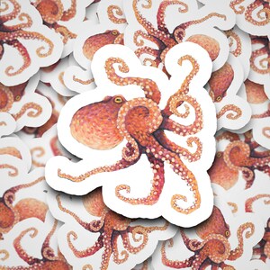 Octopus Sticker,Whimsical Octopus,Ocean Creature,Stickers,Glossy Vinyl,Easy Peel,Lucia Stewart,Stressiecat,Art to Make You Smile