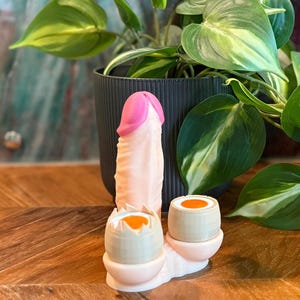 Funny dildo birthday