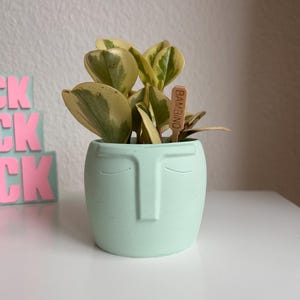 Könnte beinhalten: Ein hellminzgrüner Keramikübertopf in Form eines Gesichts mit geschlossenen Augen und einer Nase. Darin befindet sich eine panaschierte Peperomia-Pflanze mit grünen und cremefarbenen Blättern. Ein kleiner Holzstecker mit dem Wort BAMBINO steckt in der Erde.