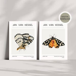 Wall Art Set of 2 Butterflies, Vintage Print Decor, Living Room Art, Colorful Art Digital Download Home Decor, Colorful Minimalist Printable