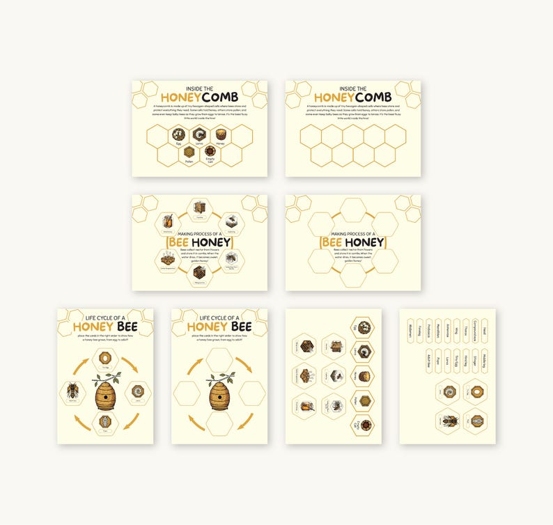 Puede incluir: Un conjunto de tarjetas educativas con ilustraciones y texto sobre abejas y miel. Las tarjetas presentan diagramas del panal, el proceso de elaboraci&oacute;n de la miel y el ciclo de vida de una abeja. Los colores son beige y marr&oacute;n.