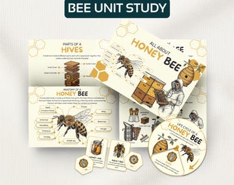 Unidad de estudio sobre la abeja melífera: ciclo de vida, anatomía y juego de ruleta (descarga en PDF)