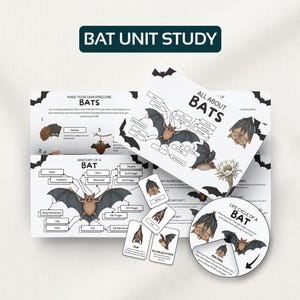 Puede incluir: Materiales educativos imprimibles para un estudio de la unidad de murciélagos. La imagen muestra varias hojas con ilustraciones de murciélagos, incluyendo diagramas de anatomía, gráficos del ciclo de vida e instrucciones para hacer un murciélago de piña. El texto "BAT UNIT STUDY" está en la parte superior.