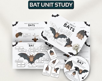 Unidad de estudio sobre murciélagos / Anatomía, ciclo de vida, tarjetas didácticas (descarga en PDF)