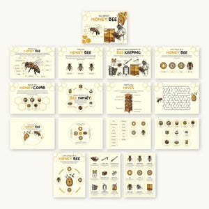 Puede incluir: Una colecci&oacute;n de tarjetas educativas ilustradas sobre abejas mel&iacute;feras. Las tarjetas presentan diagramas de la anatom&iacute;a de las abejas, tipos de abejas, equipos de apicultura, el ciclo de vida de una abeja mel&iacute;fera y el proceso de elaboraci&oacute;n de la miel. El texto "ALL ABOUT HONEY BEE" est&aacute; en la parte superior.