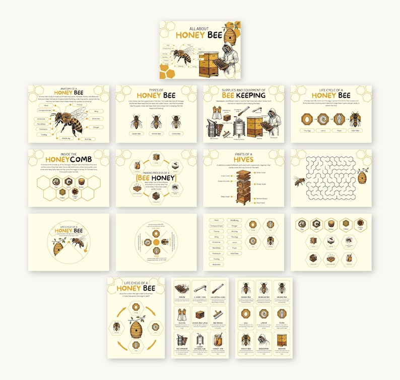 Puede incluir: Una colecci&oacute;n de tarjetas educativas ilustradas sobre abejas mel&iacute;feras. Las tarjetas presentan diagramas de la anatom&iacute;a de las abejas, tipos de abejas, equipos de apicultura, el ciclo de vida de una abeja mel&iacute;fera y el proceso de elaboraci&oacute;n de la miel. El texto "ALL ABOUT HONEY BEE" est&aacute; en la parte superior.