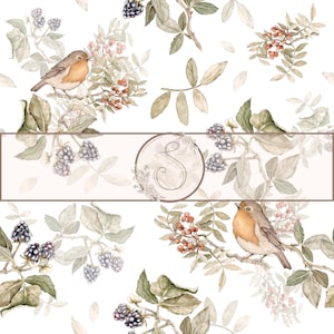 Robin birds vintage seamless pattern, watercolor pattern,