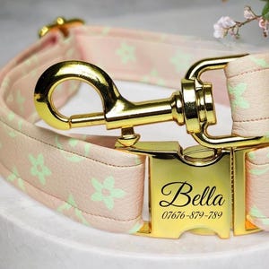 Designer Dog Collar and Leash - Brown Leather - Small to Extra Large - Puppy, Cat, Kitten - Premium Personalized Designer Gift