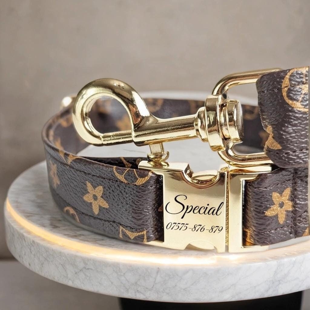 Louis vuitton kitten collar hot sale