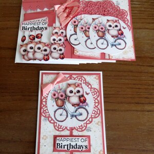 Carte d'anniversaire hibou et bicyclette, joyeux anniversaire, carte faite main, carte de voeux, carte pour elle, carte d'anniversaire 3D, hibou et coccinelle, kit de cartes cadeau
