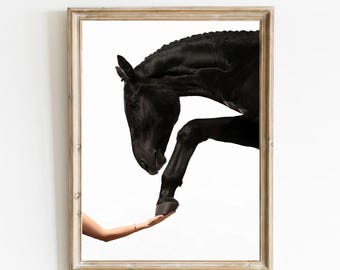 A poster of a woman holding hands with a horse on a white background(Digital Download)