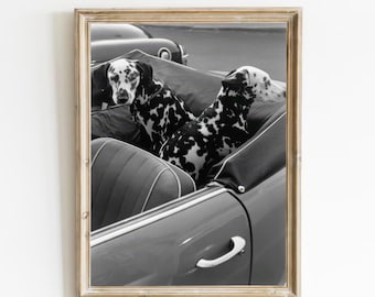 Dalmatian Twins in Convertible Car Art Print (Digital Download)