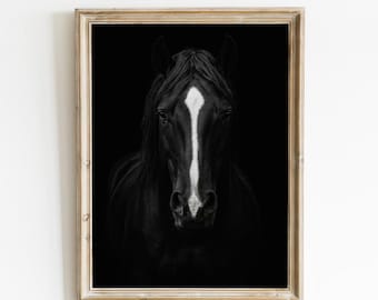 Black and white horse print for art decor