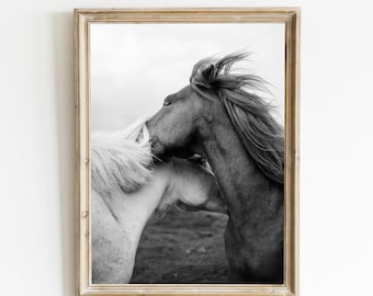 Black and White Horses Print, Equestrian Wall Art (Digital Download)