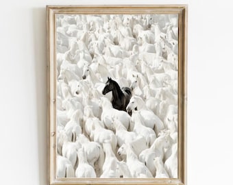 Black Horse Among White Horses Art Print, Equestrian Wall Decor (Digital Download)