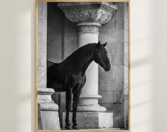 Black Horse Photo Print, Vintage Wall Art (Digital Download)