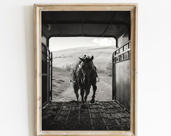 Vintage Horse Print, Black and White Photo, Equestrian Wall Art (Digital Download)