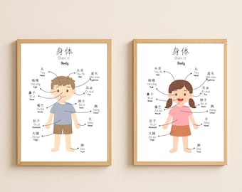 Póster de partes del cuerpo: decoración infantil bilingüe en chino simplificado e inglés (imprimible)