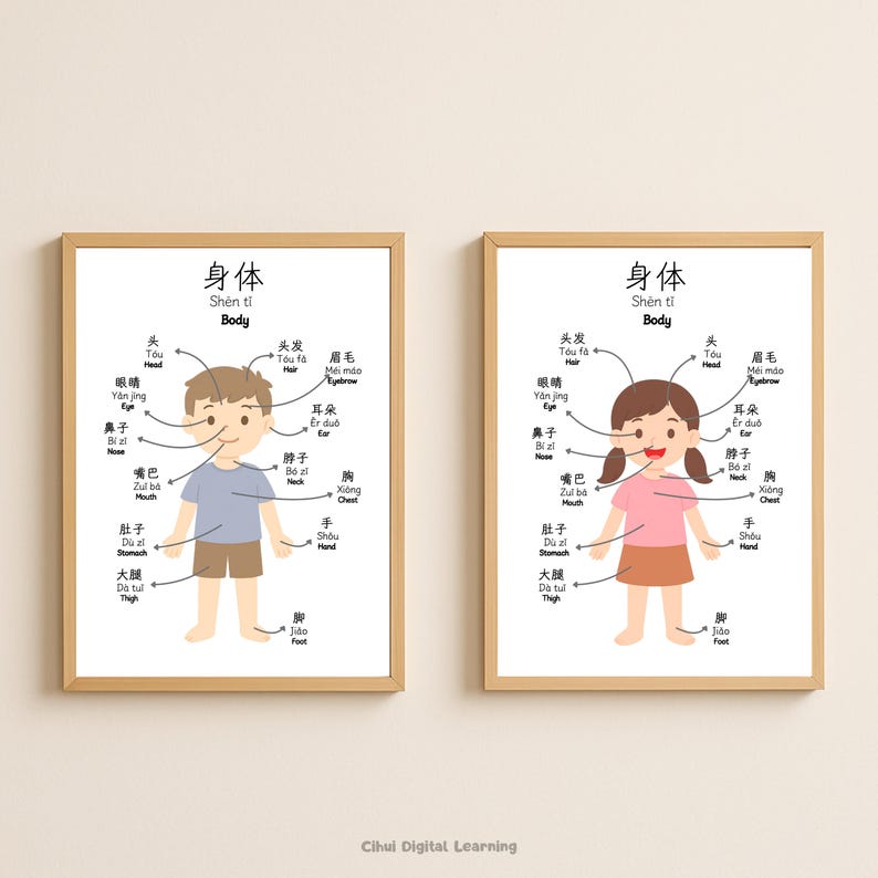 Body Parts Poster Set: Bilingual Simplified Chinese & English Nursery ...