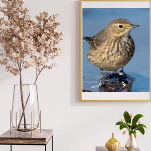 Buff Bellied Puppet Malibu Lagoon Wall Art, Malibu California Poster, Vintage Malibu Poster Print, Malibu Surf Poster, malibu california.