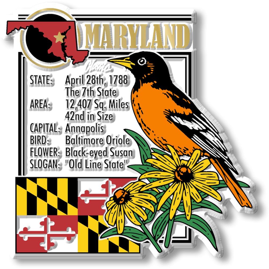 Craftique メリーランド マグネット UNIVERSITY OF MARYLAND Large Auto MAGNET | eBay