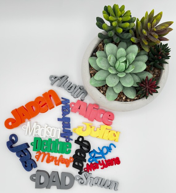 Personalized Keychain 3D Printed Name Keychain Custom Name - Main Image