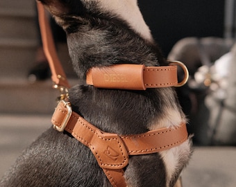 Adjustable Leather Dog Harness | Durable, Handmade Pet Harness | Comfortable Fit for Small to Large Dogs