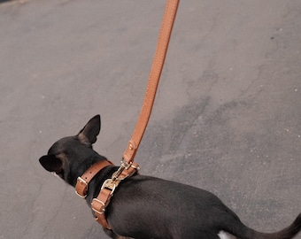 Dog Harness and Leash Set | Adjustable Hands Free Harness Walk Kit for Small, Medium, Large Dogs | Strong, Durable