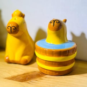 Saleros y pimenteros de carpincho: un regalo ideal para la mesa del comedor