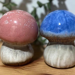 Pequeño hongo de botón de cerámica para interior o exterior, para decorar una maceta.