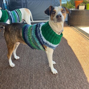Pet sweaters