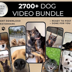 Pacote de 2700 Dog Reels Puppy Reels Animal Reels Faceless Video Don't For You Reels Dog Instagram YouTube Shorts Dog TikTok Dog Video