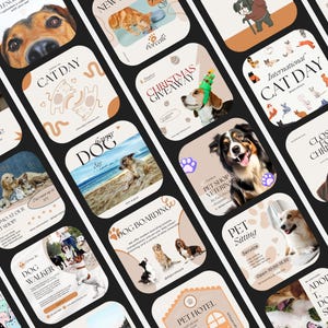 May include: A collage of social media posts promoting a pet hotel and services. The posts feature images of dogs and cats, and text such as "Pet Hotel", "Dog Boarding", "Pet Sitting", "Dog Walker", "International Cat Day", and "Closed for Christmas".