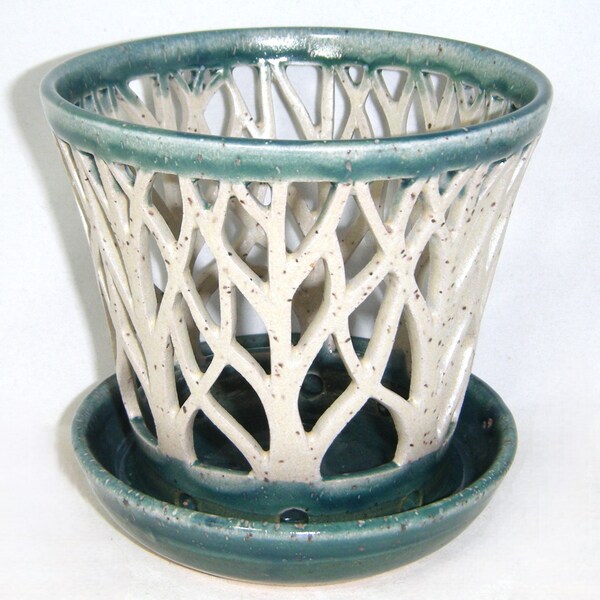 Orchid Pot White Birch Tree Flower Pot Green Carved Ceramic Aspen Handmade Pottery Planter OOAK ClayDogStudio