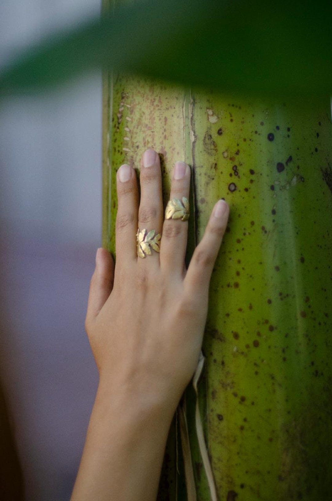 FERN Brass SIZABLE RINGS - Etsy