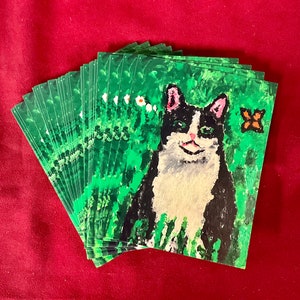 Cartes postales 4x6 avec adorable chat de smoking sur le devant, 5 dans un pack.
