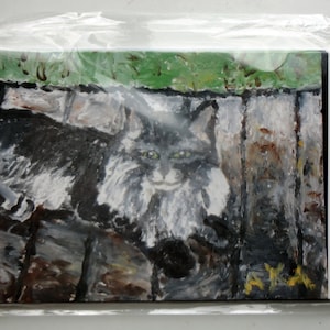 Cinq 5 x 7 cartes avec enveloppes.  « Chat de Leon Fluffy' est sur le recto de chaque carte dans sa gloire brillante