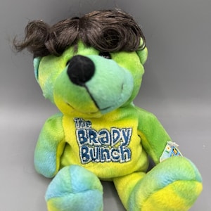 May include: A plush bear toy with green, yellow, and blue tie-dye coloring. The bear has brown hair and a yellow shirt with the text "The Brady Bunch" in blue. The bear is sitting down.