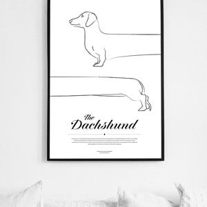 Dachshund – Minimalist Dog Wall Art | Modern Home Decor | High-Quality Print on Paper